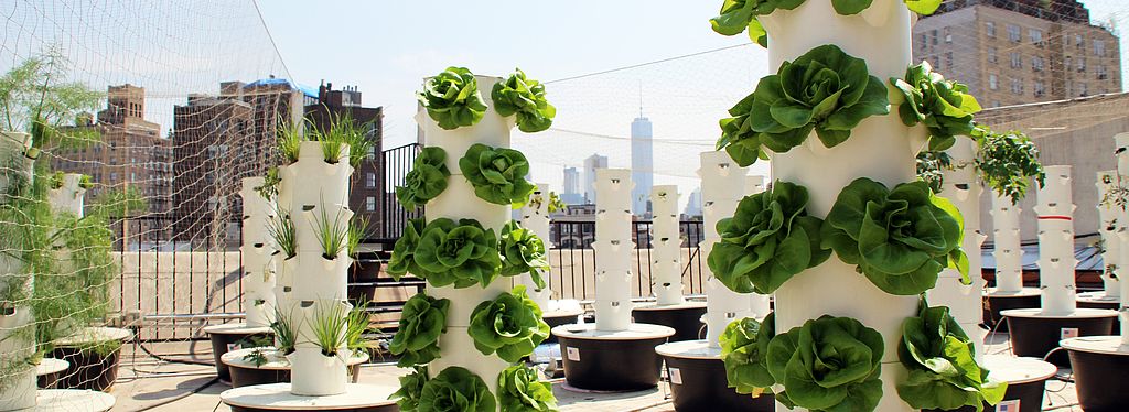 Urban Farming ©newfoodcity_de, Derk Hoberg